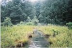 Abandoned Mine Drainage (AMD)