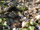 DSCF5235W.JPG