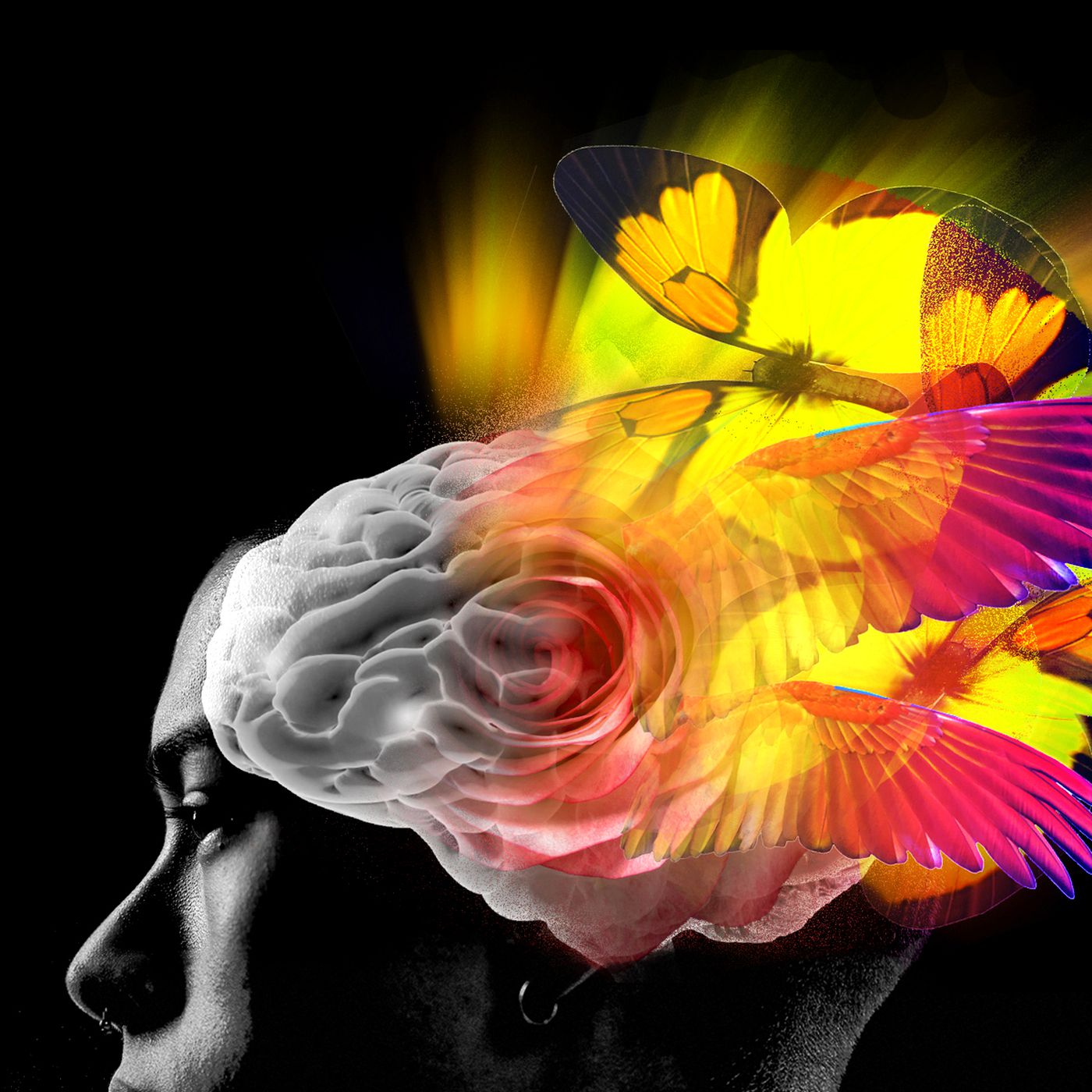 Psychedelic drugs and the future of mental health care - Vox