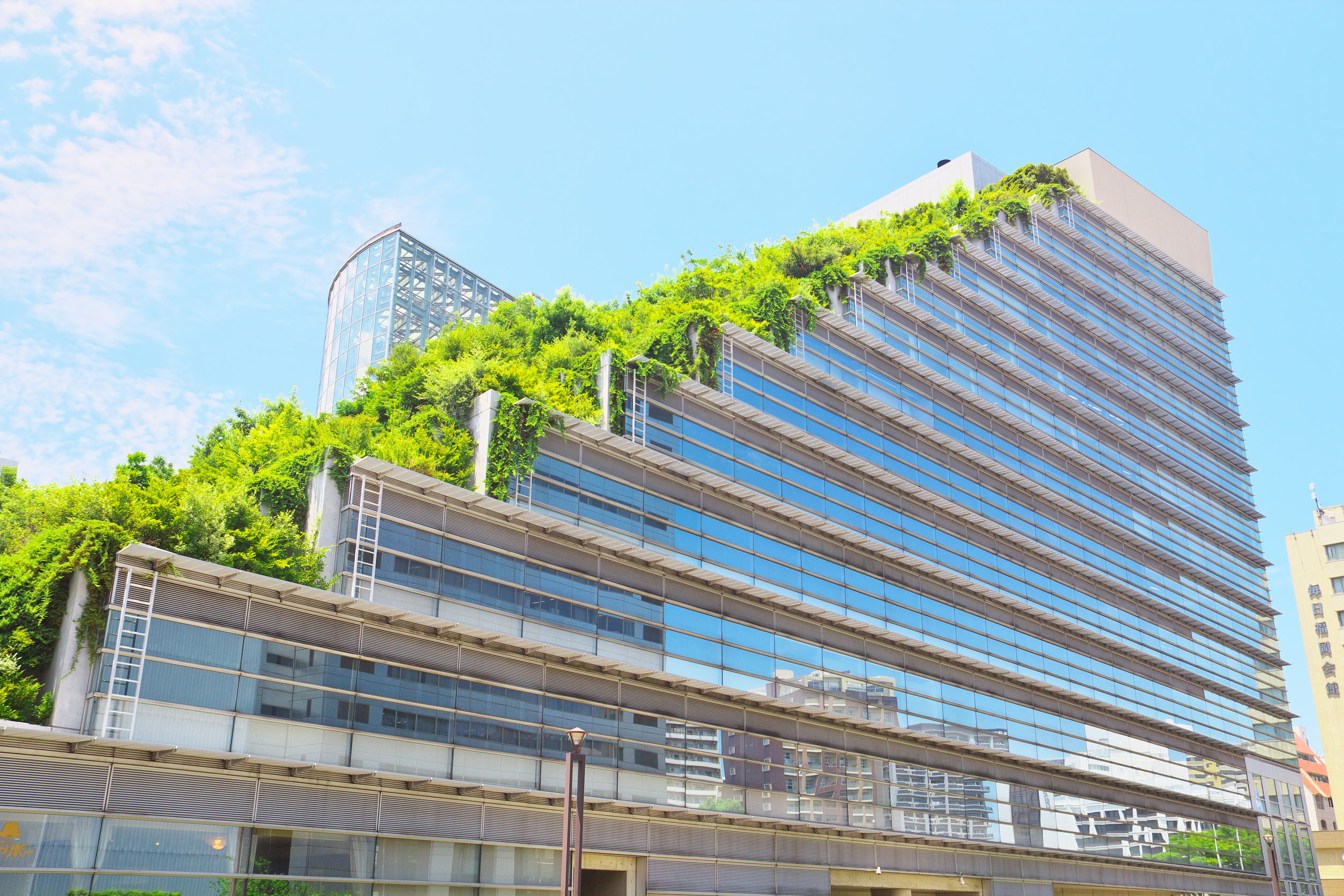 Popularity of Green Roofs | Kodiak Roofing & Waterproofing